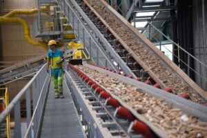Das mit den Robotern sortierte Material auf dem Weg zur Weiterverarbeitung.